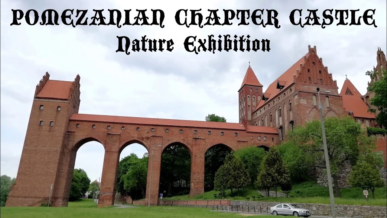 Kwidzyn. 14th Century Pomezanian Chapter Castle - Nature Exhibition / Wystawa przyrodnicza