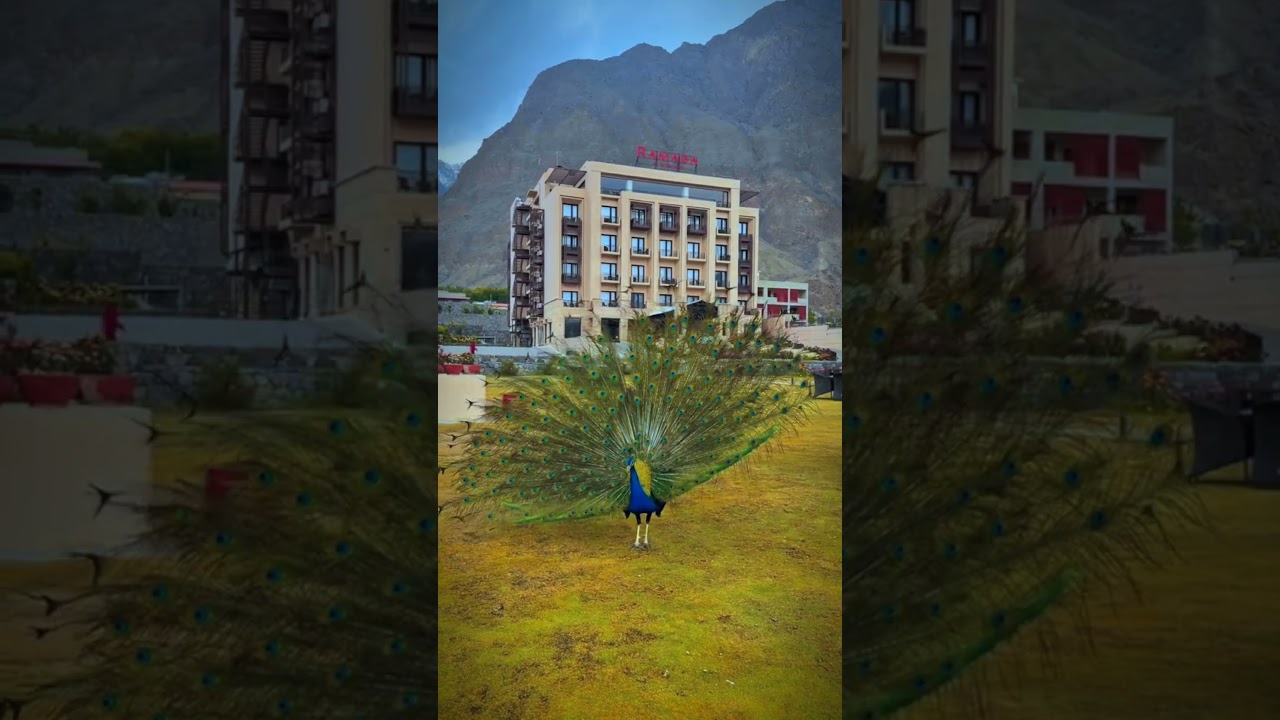 Ramada Hotel in Gilgit 🦚 #gilgit #beautiful #hotel #shorts