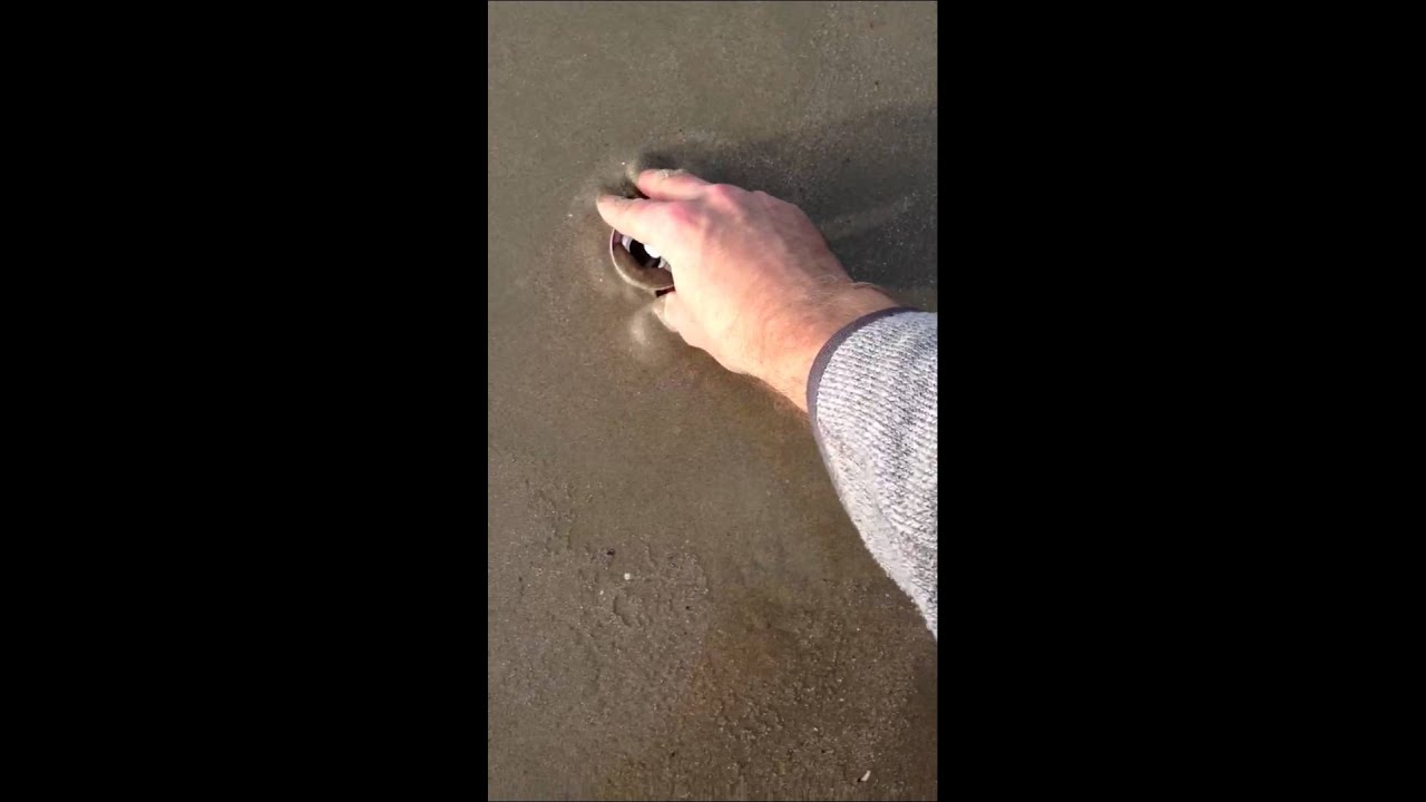 Quicksand