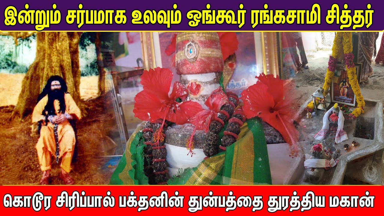இன்றும் சர்பமாக உலவும் ஓங்கூர் ரங்கசாமி சித்தர் | Pranavam TV