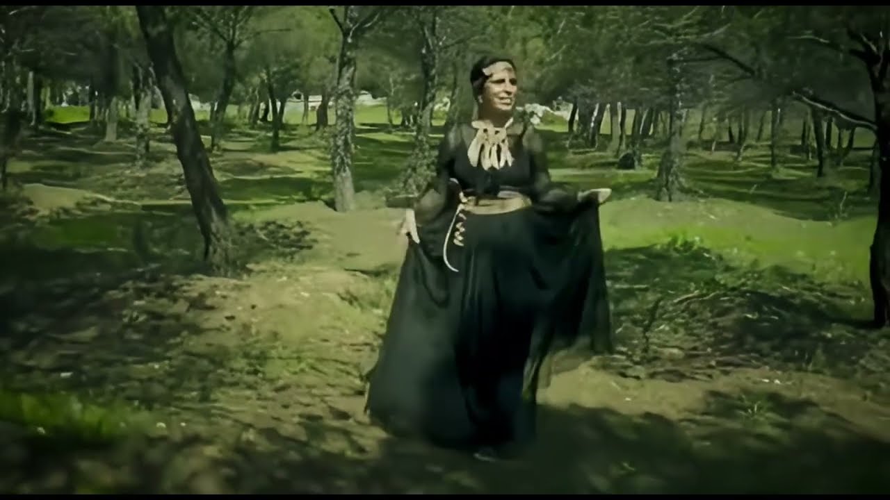 🌿✨Lo que el bosque me enseñó sobre mi propia alma 🌿✨