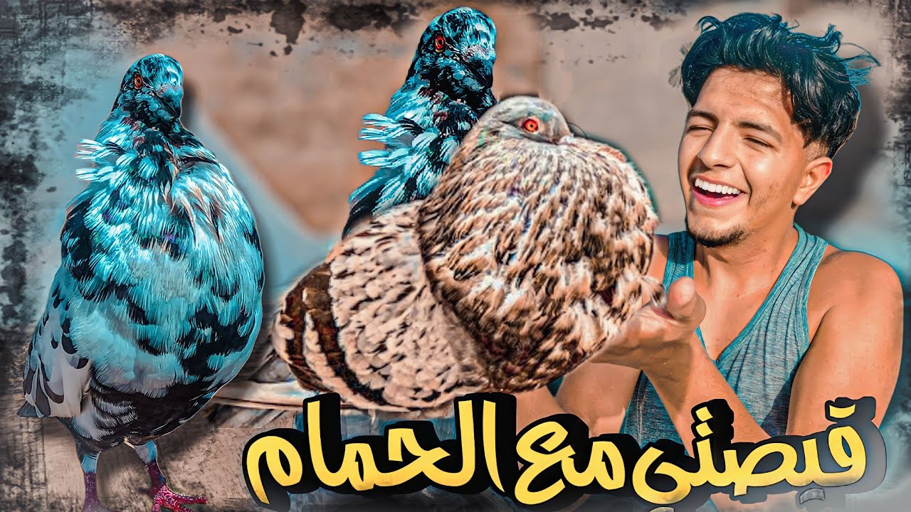 كيفاش بدات قيصتي مع الحمام 🤩 اول حمامة شريت هي ...! 🤣