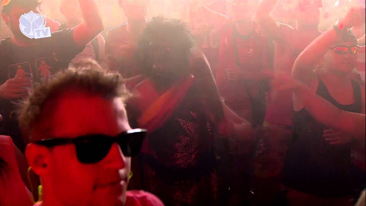 Tomorrowland 2013 - Michael Calfan