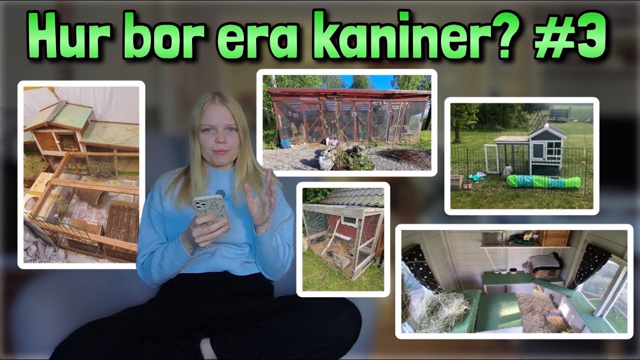 Reagerar p&aring; hur ERA kaniner bor #3