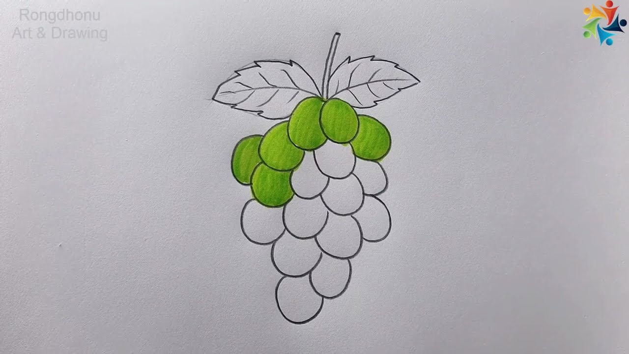 How to draw Grapes || Angur Drawing || Fruits Art