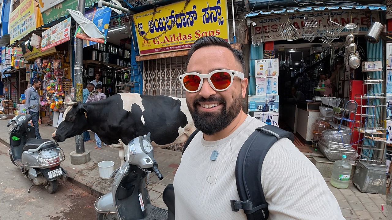 Только в Индии коровы ходят по улицам, как люди 🇮🇳
