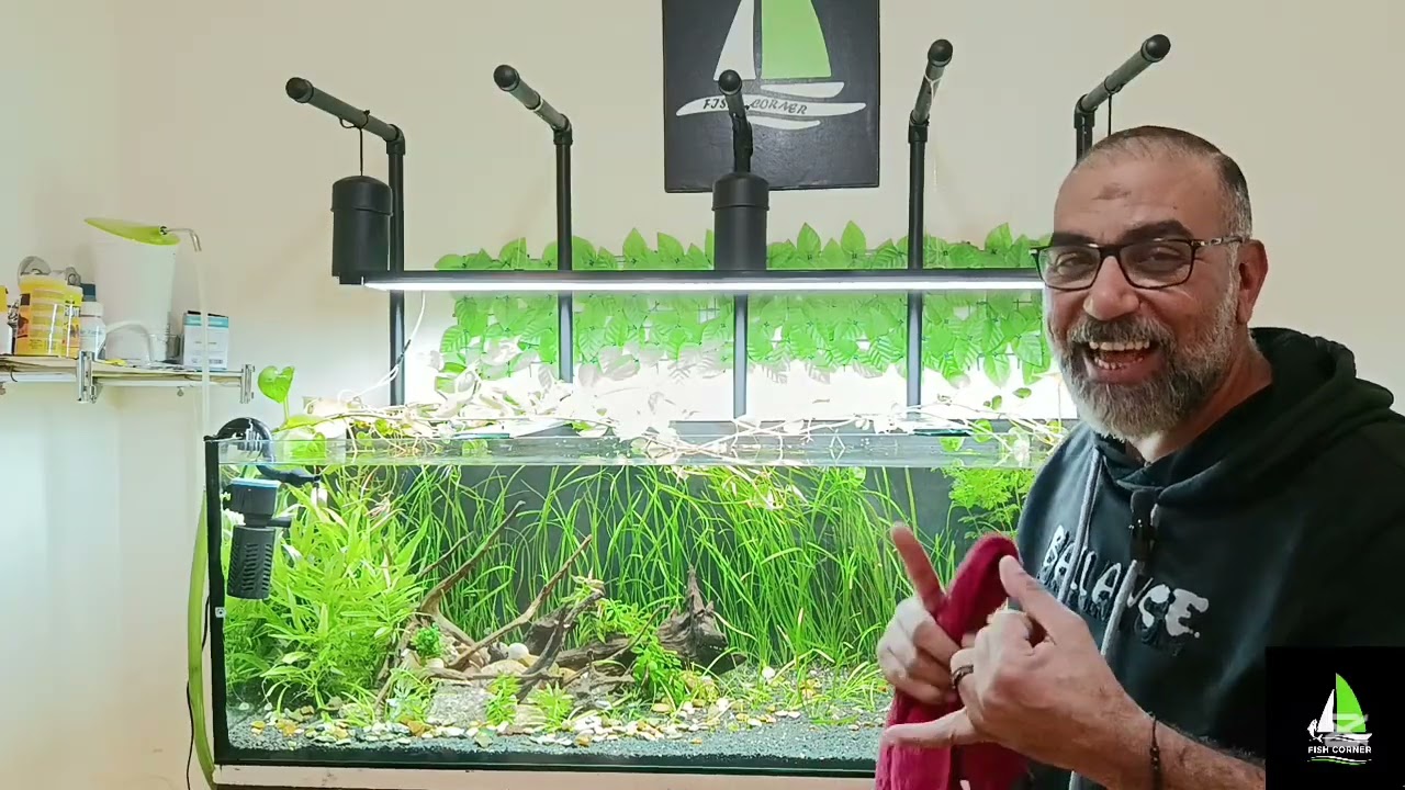 عمل اضاءه مناسبة لحوض ١٥٠سم إزاي أجرب حوض اسماك الزينه قبل ما ننزل السمك فيها 