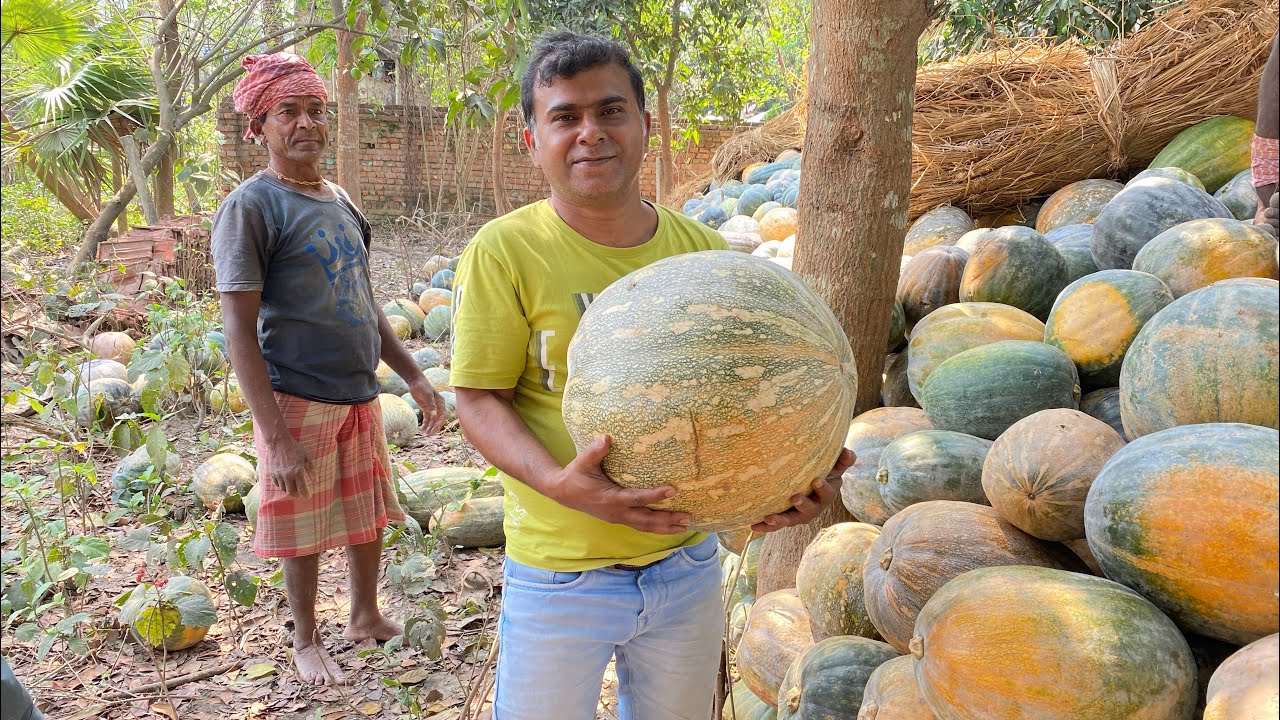 কুমড়ো সংরক্ষণ পদ্ধতি