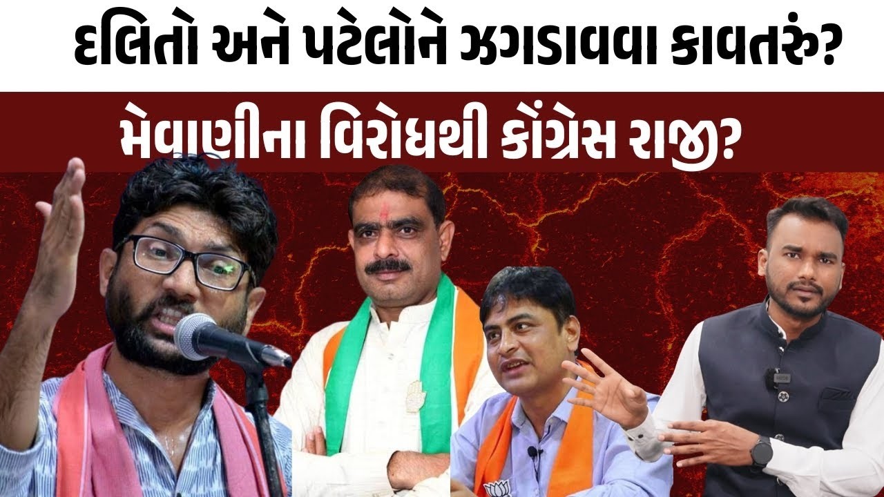 દલિતો અને પટેલોને લડાવવાનું કાવતરું કોણે ઘડ્યું? Jignesh Mevani ના વિરોધથી કોને ફાયદો?
