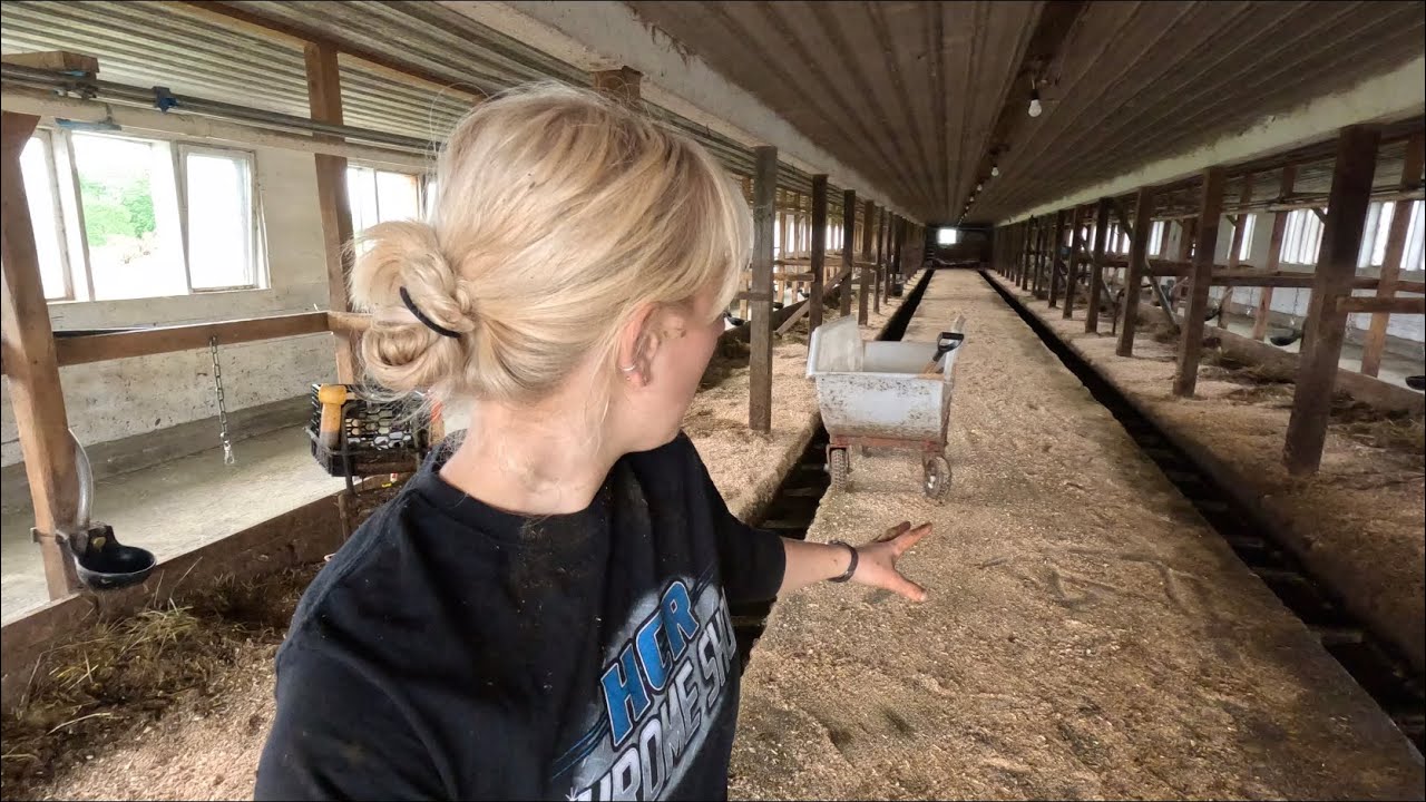 Traditional dairy farm trouble…how long will it last??🐄🚜
