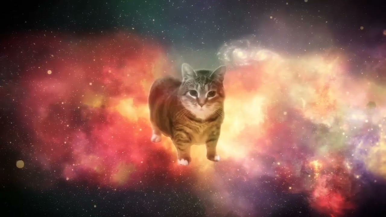 Olla olla spinning cat bass boosted