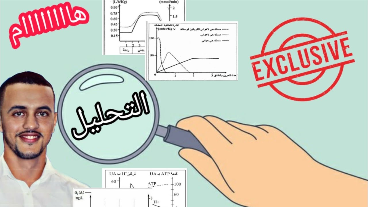 كيف أقوم بتحليل أي وثيقة !!! 💯💯 لايف 3