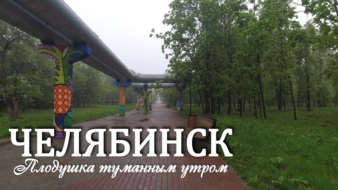 Челябинск. Плодушка в тумане (15.05.25)