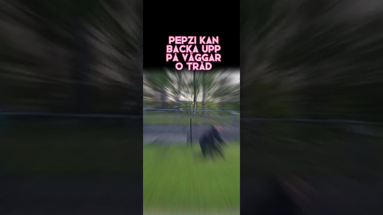 kvällsträning