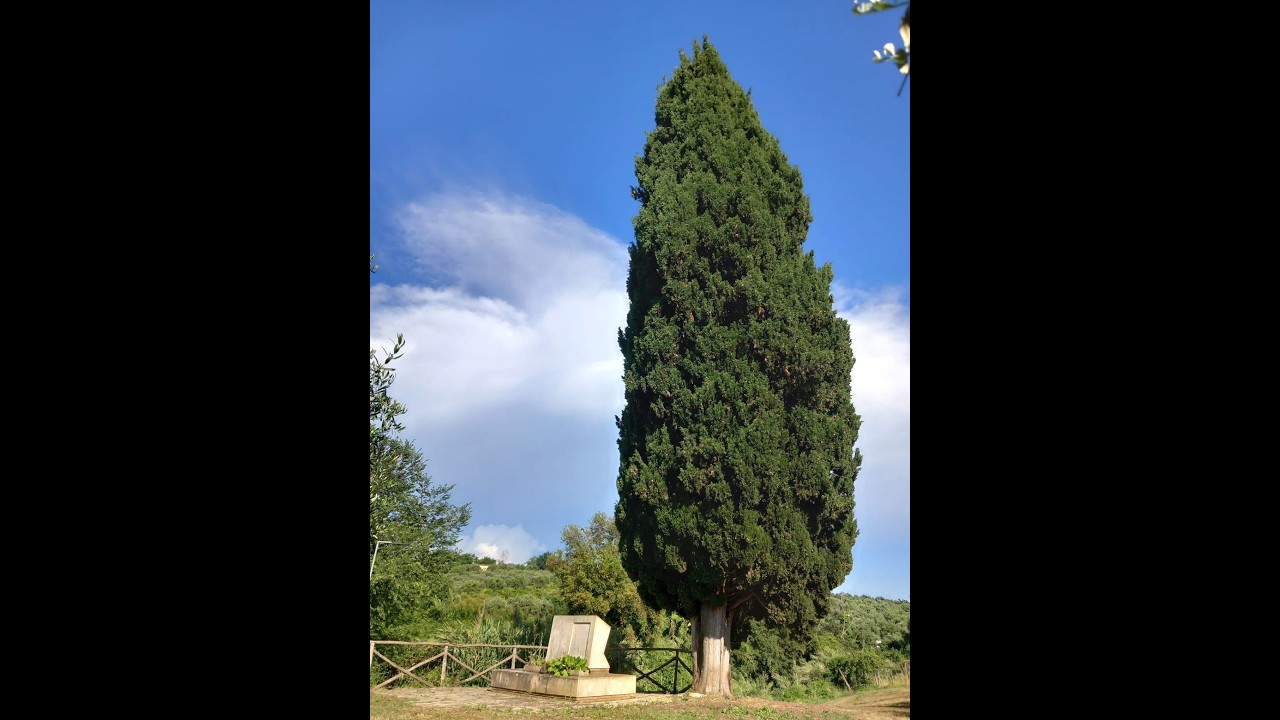 Presenta Velletri, 12 feb 2026
