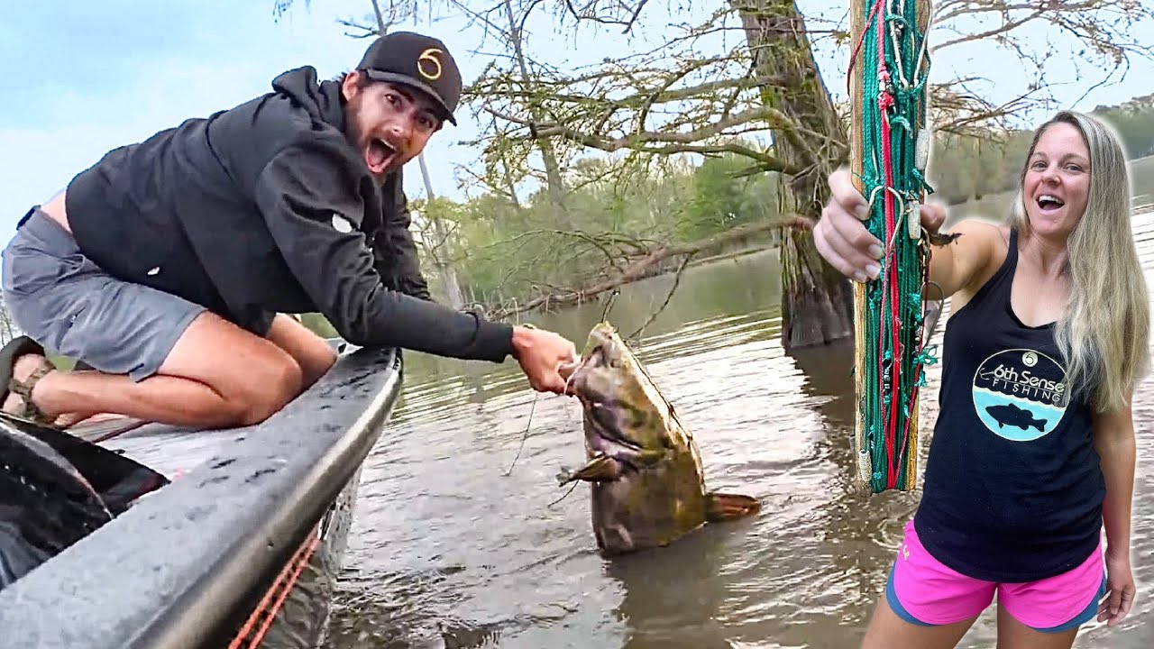Baiting LIMB LINES for MASSIVE CATFISH! -- Easy Way to LOAD the Boat!!! (Catch and Cook!)