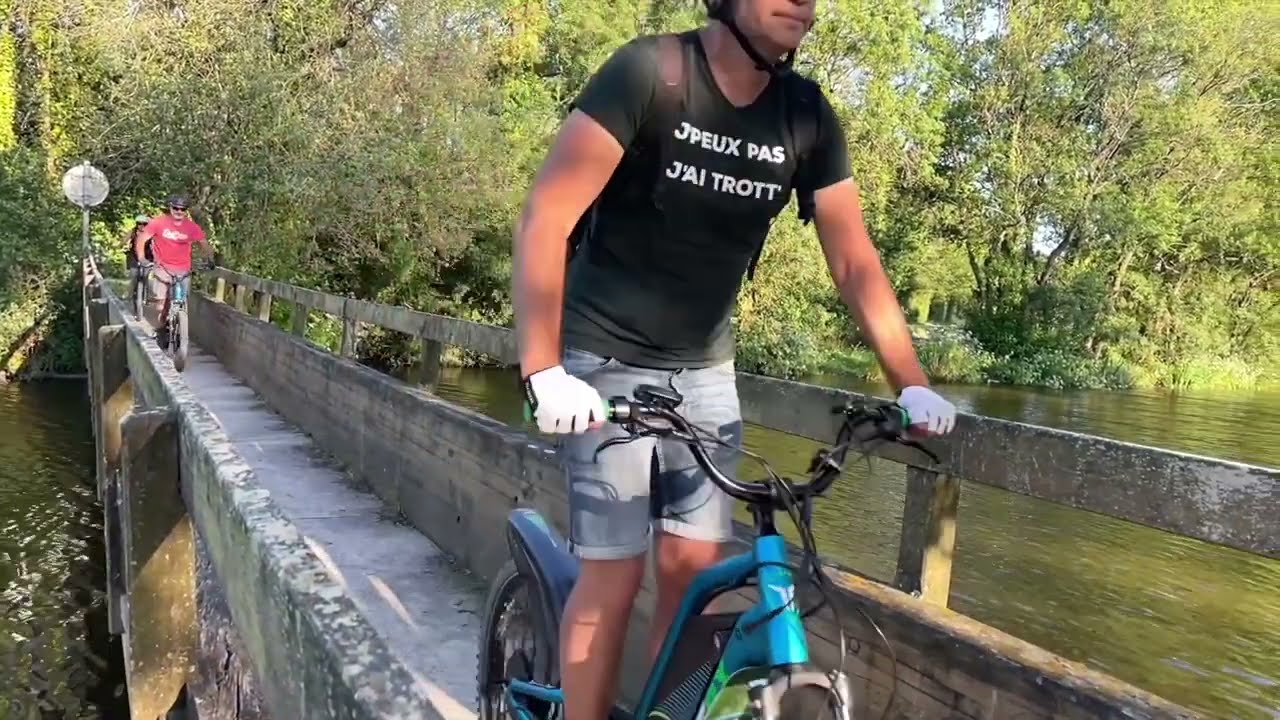 Erdre Canal Foret le voyage au fil de l'eau