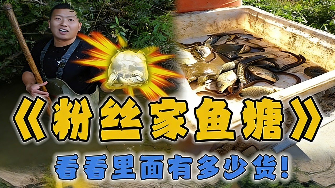 花8000包下粉絲家的魚塘，看看乾底後還有多少貨... #戶外 #魚塘 #抓魚 #甲魚 #fishing