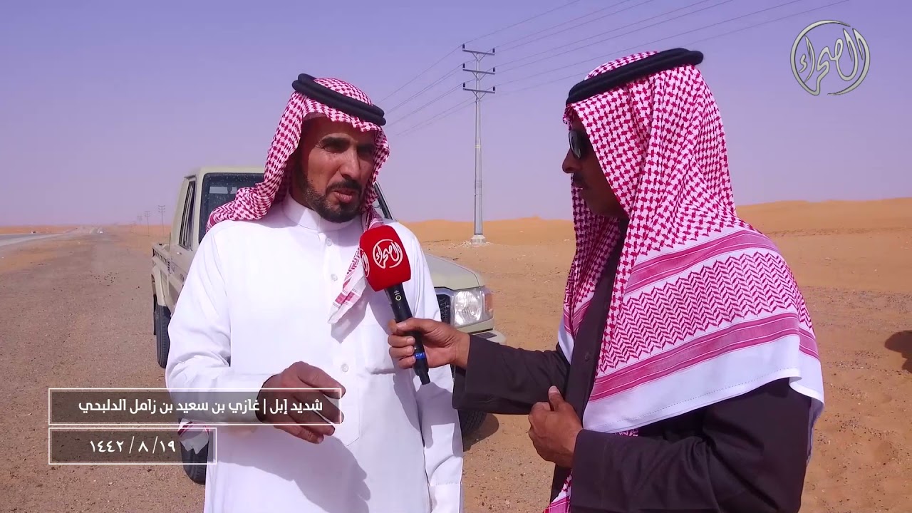برنامج | شديد اهل الابل | مع مالك الابل / غازي بن سعيد بن زامل الدلبحي 19 / 8 / 1442 هــ