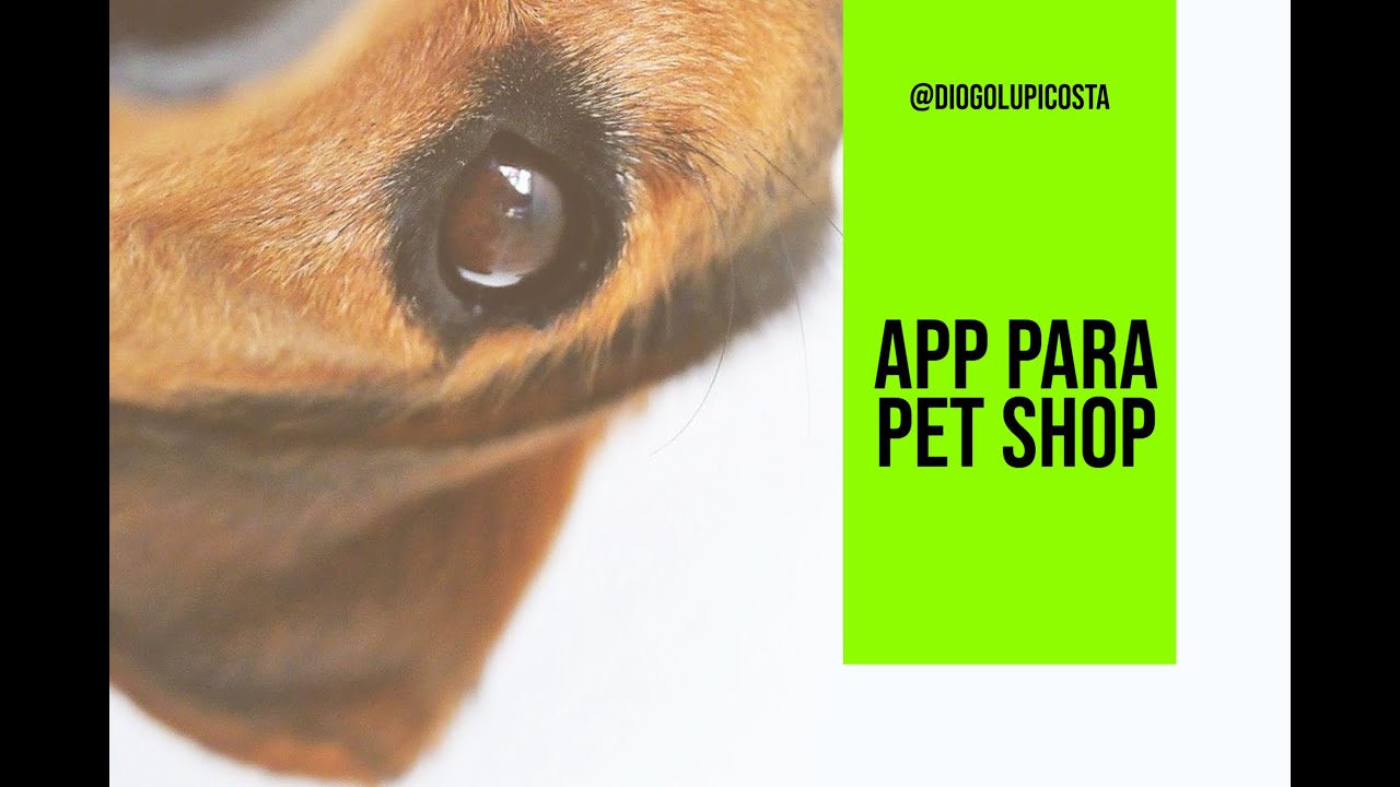 Aplicativo para gerenciar Pet Shop