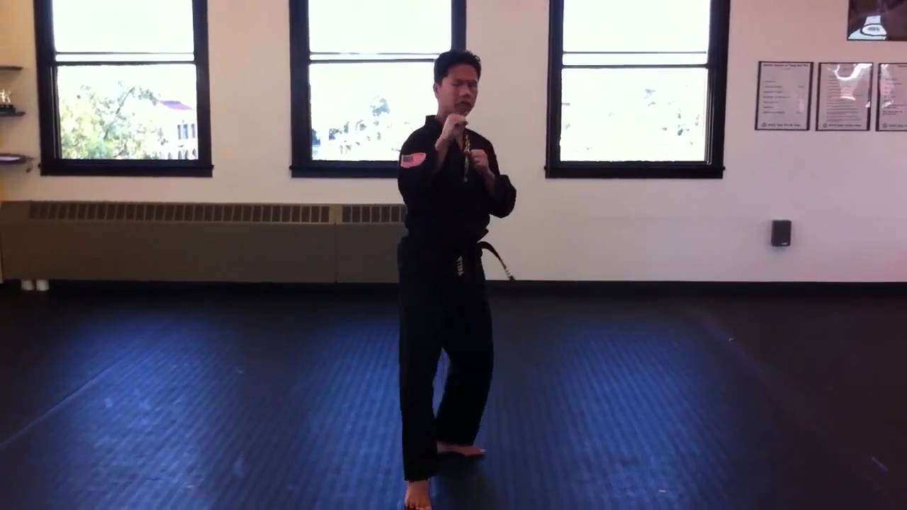 World Tang Soo Do form #3