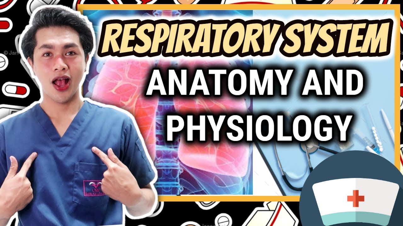 ANATOMY & PHYSIOLOGY: RESPIRATORY SYSTEM | ENGLISH TAGALOG DISCUSSION | NEIL GALVE