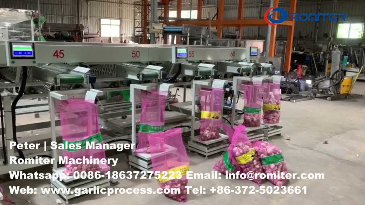 Automatic Garlic Size Sorting Grading Machine with Weighing Function