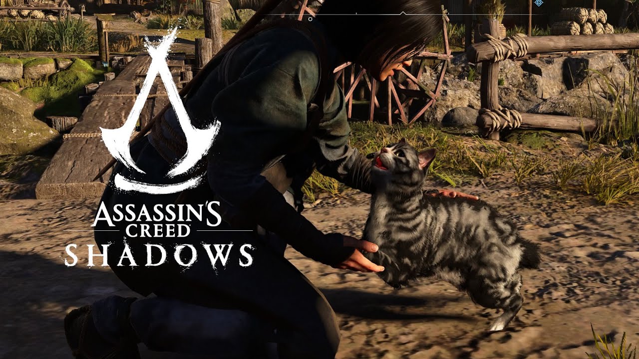 Assassins Creed Shadows - von Katzen, Räubern und Holzschwertern