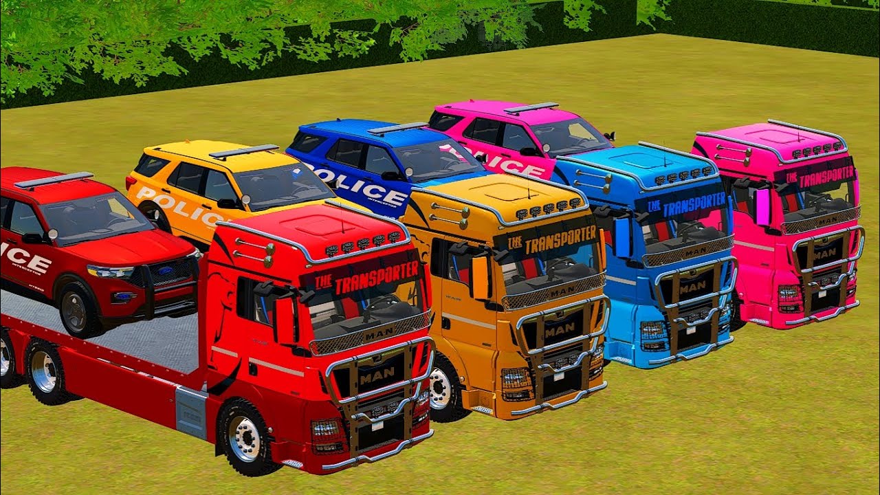 Transport of Colors! ALL PLICE CAR & TRUCK COLOR