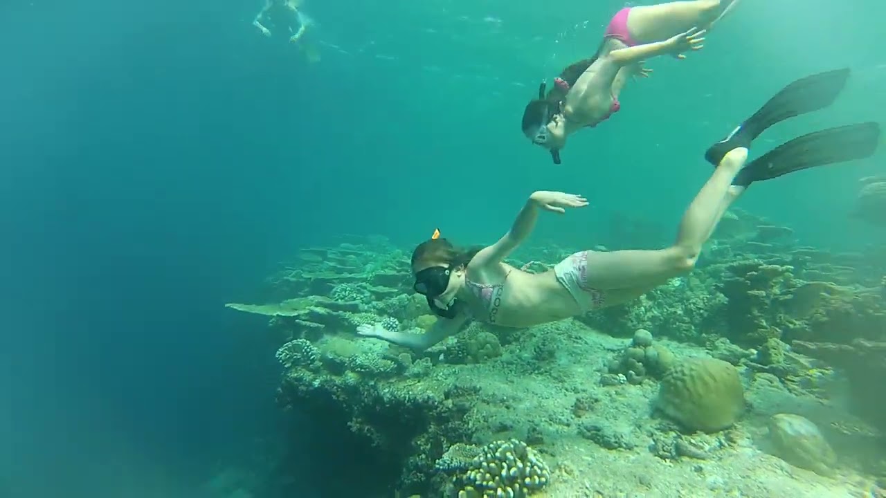 Детский Фридайвинг.  Freediving kids