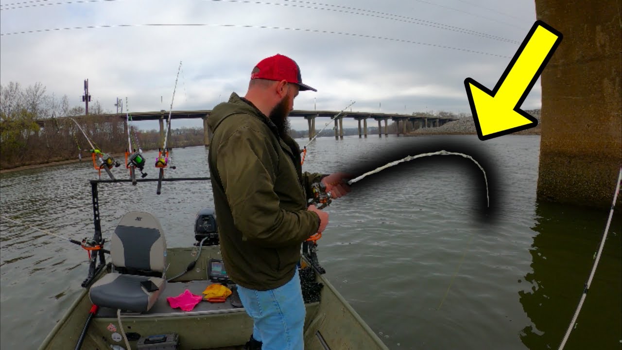 James River Shad Run and Early Spring Catfish Techniques