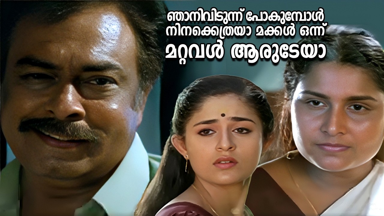 ഞാനിവിടുന്ന് പോകുമ്പോൾ നിനക്കെത്രയാ മക്കൾ ഒന്ന് മറ്റവൾ ആരുടേയാ| Parvathy Parinayam Movie| Sureshgopi