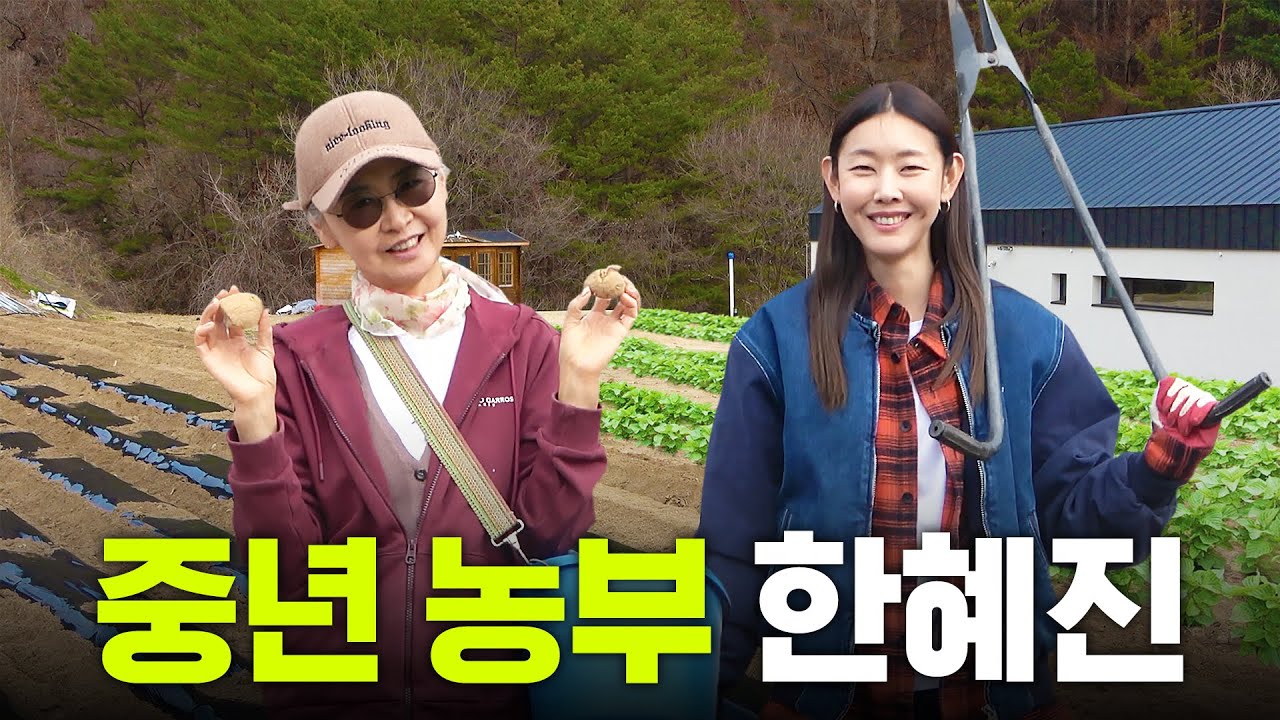 *모녀케미* 감자 심다가 이마에 혹 난 중년 농부 한혜진의 홍천 일기｜기안닭조카, 막국수 먹방, 감자 화폐
