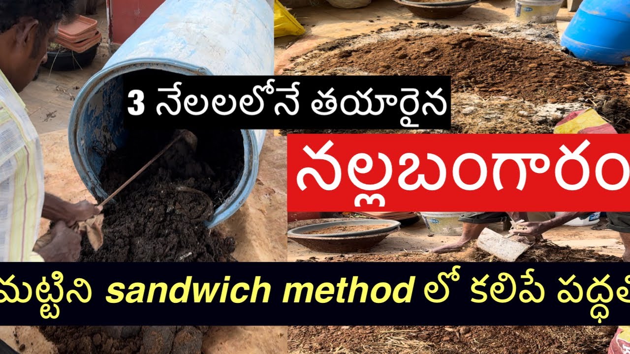 Garden update#manure from waste/నల్లబంగారం తయారైంది/khaad/compost mixed in sandwich method