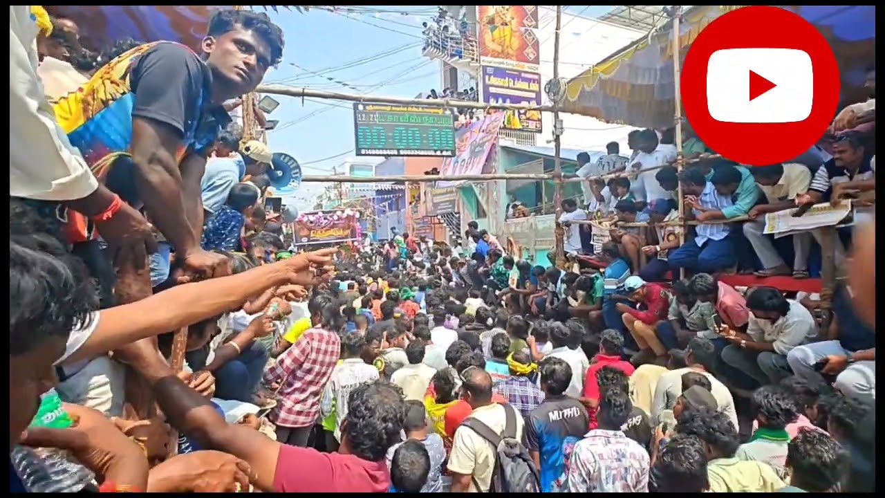 பச்சூர் எருதுகட்டு 2026 | Patchur Running Video 2026 #patchur #eruthukattu #2026