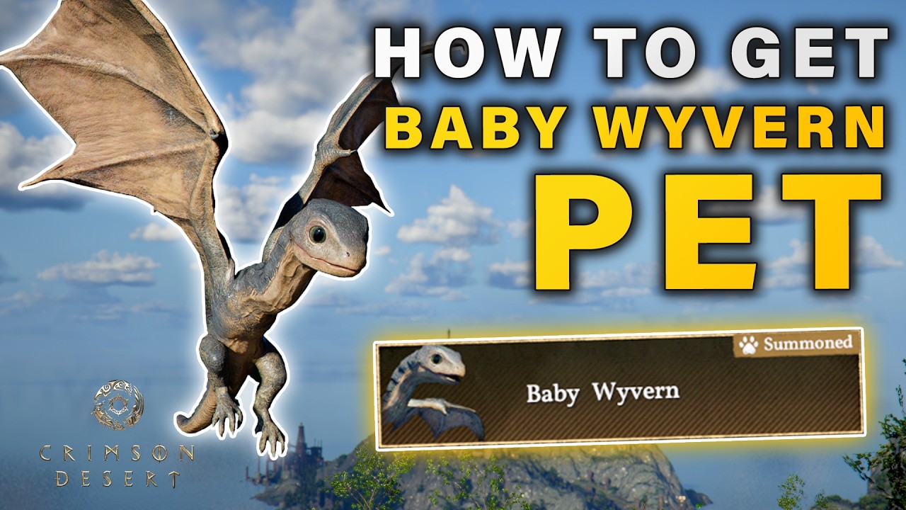 How to get the Legendary Baby Wyvern Pet ► Crimson Desert