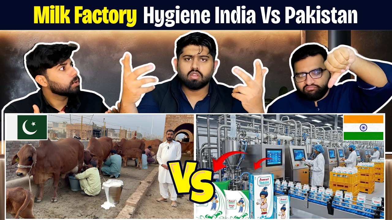 Pakistan vs India Milk Factory  दूध  Cow, Buffalo, Camel, Goat Farms  Pakistani Reaction