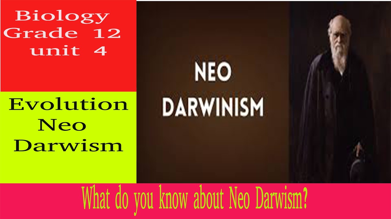 Neo Darwism | evolution | grade 12 | biology | unit 4| Teacher Melaku