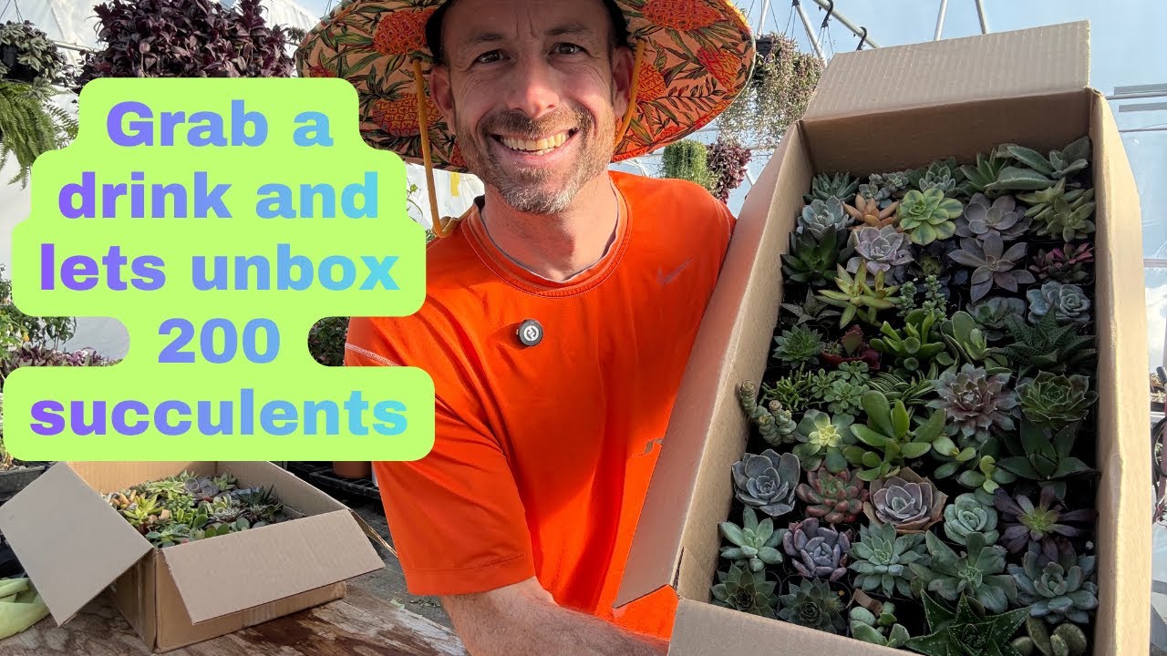 Unboxing 200 of the Coolest Succulents