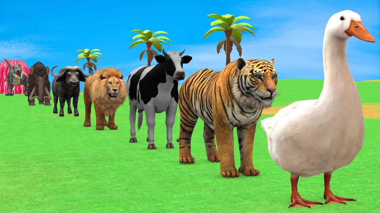 Long Slide Game with Cow Elephant Gorilla Hippopotamus Tiger 3d Animal Game Funny 3d Animals