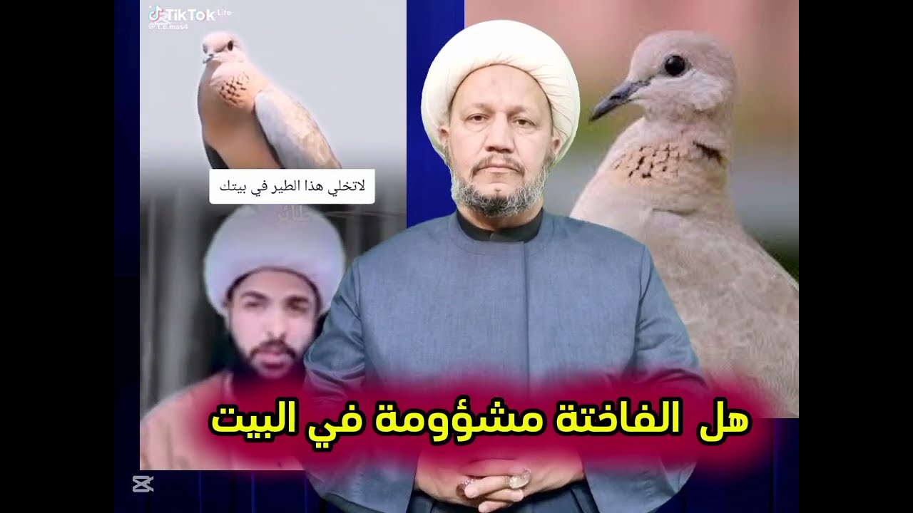 هل طائر الفاختة مشؤوم في البيت  ؟