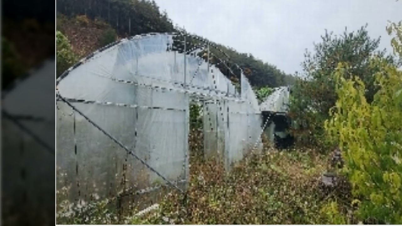 영동군 양산면 수두리 농지경매.  경매의 꽃 김 명희이사 해냄법률경매 