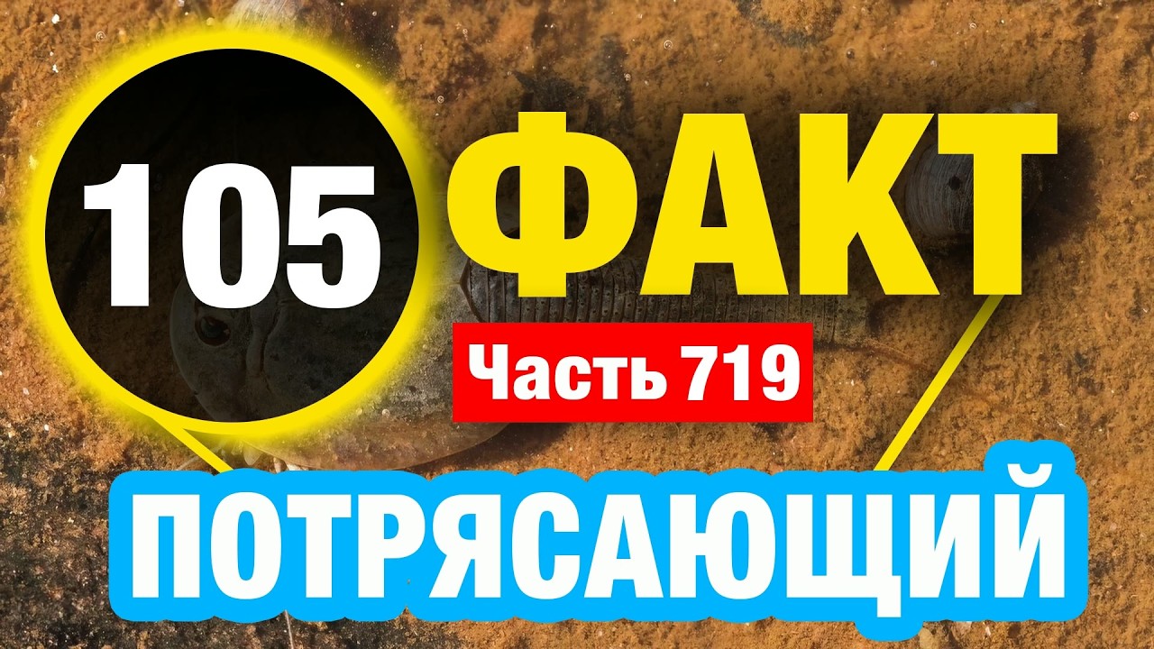 105 Впечатляющий Факт В Который Вы Не Поверите