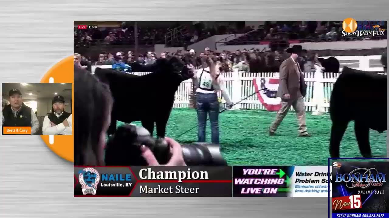 NAILE Champion Steer Drive