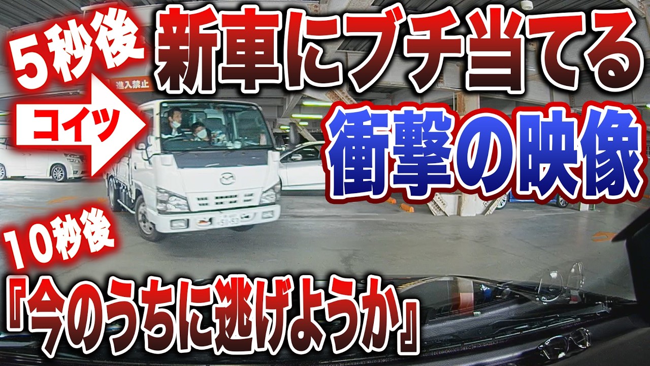 【衝撃ドラレコ】納車2週間の新車に衝突！相手特定も&ldquo;音信不通&rdquo;&hellip;無保険ドライバーから身を守る唯一の対処法【注意喚起】