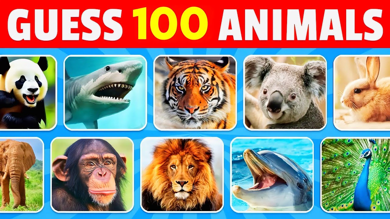 Can You Name 100 Animals in 3 Seconds? 🐾 | Easy to Hard Quiz
