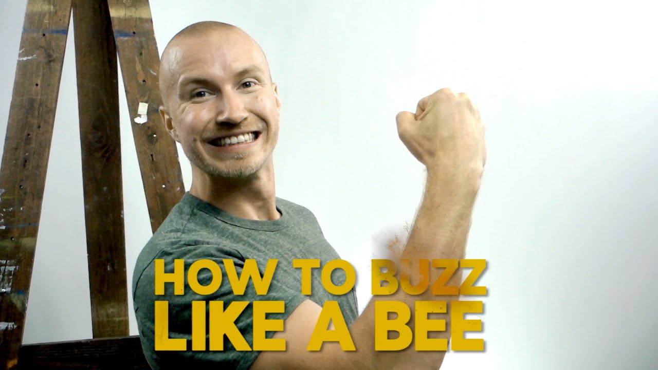 HOW TO BUZZ LIKE A BEE !?