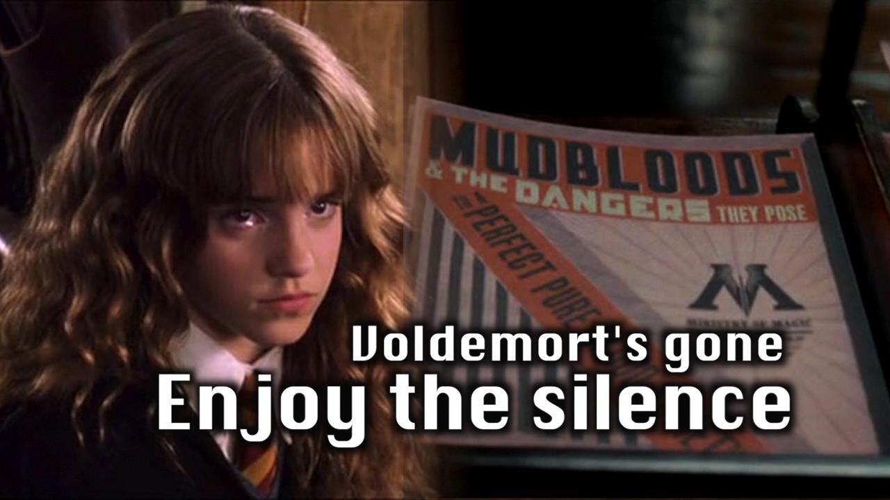 Voldemort's gone - 'Enjoy the Silence'