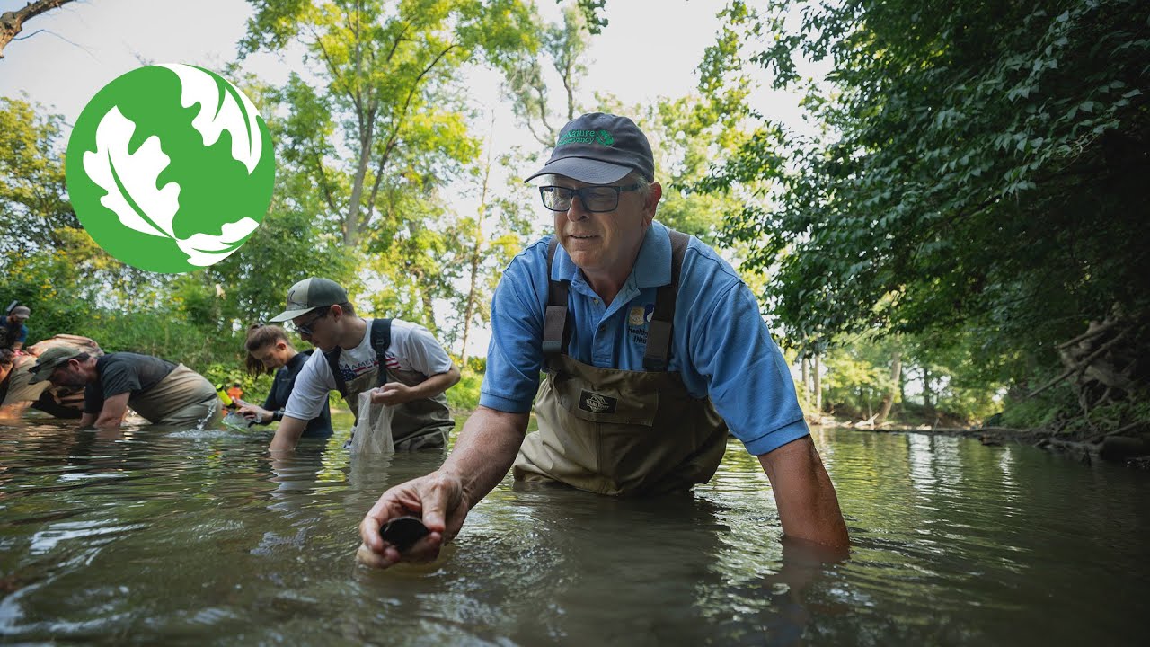 Fish Creek: A Community in Action