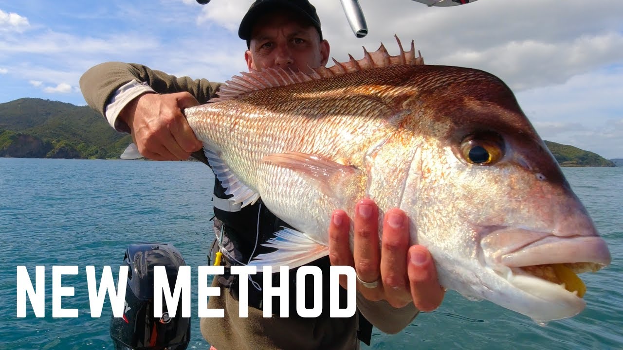 Fishing a new method | Big Snapper fishing New Zealand | Micro jig & softbait
